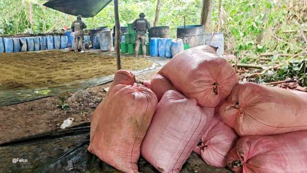 Destruyen fábrica de droga en Puerto Villarroel