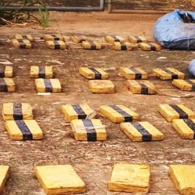 Hallan marihuana en la terminal de buses de Cobija