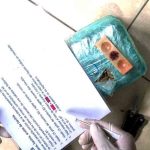 Hallan marihuana en Tarija