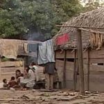 Nación Pacachuara en riesgo de extinción