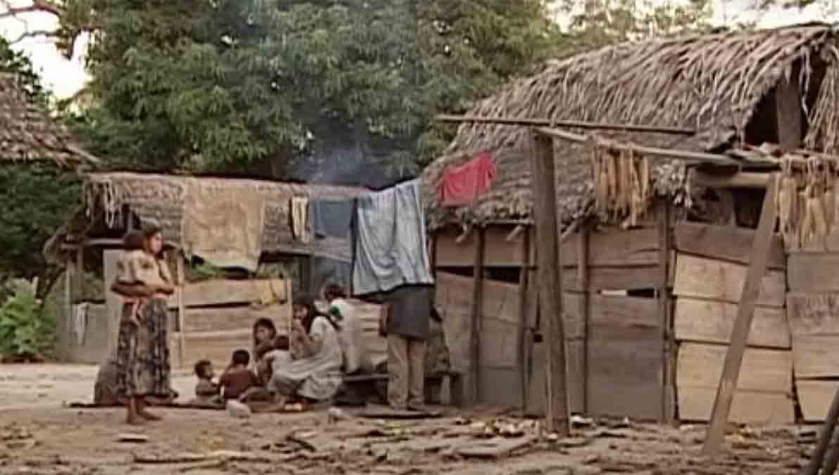 Nación Pacachuara en riesgo de extinción