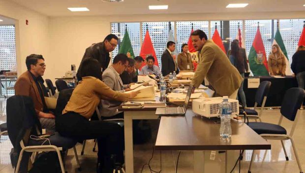 miembros de la Comisión Mixta de Constitución revisan los documentos de los postulantes al TSE