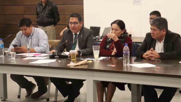 miembros de la Comisión Mixta de Constitución de la ALP