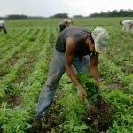 productores de soya en Santa Cruz