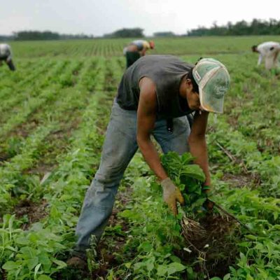 productores de soya en Santa Cruz