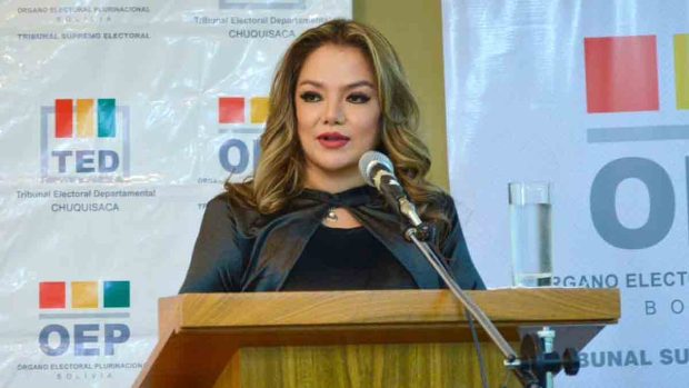 vicepresidenta del TSE, Ximena Camacho Goyzueta