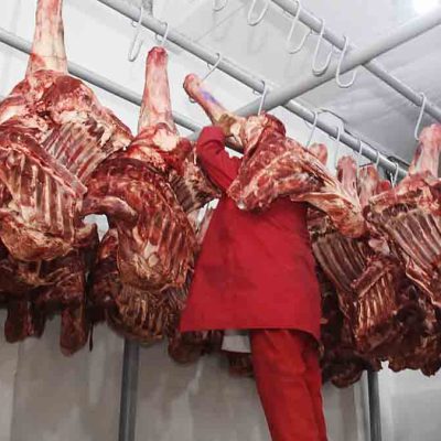 carne de res