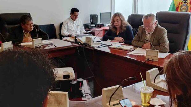 sesión de la Comisión de Constitución de la Cámara de Diputados