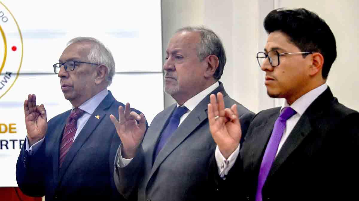 posesión de los directores de cajas de salud