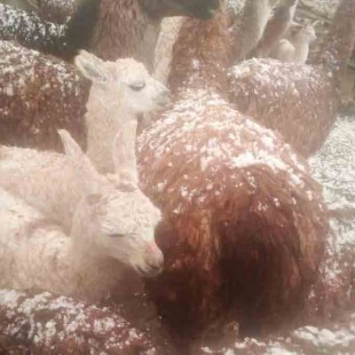 granizo en Tapacarí
