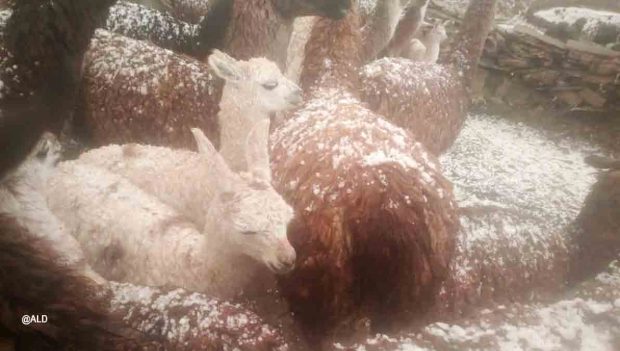 granizo en Tapacarí