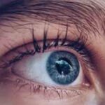 retina del ojo