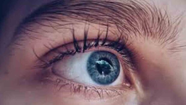 retina del ojo