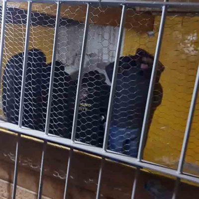 los policías aprehendidos