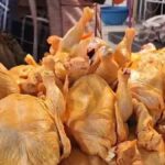 venta de pollo en Cochabamba