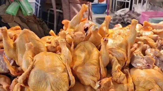 venta de pollo en Cochabamba
