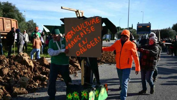 productos sudamericanos en Francia