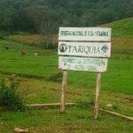 Tariquía