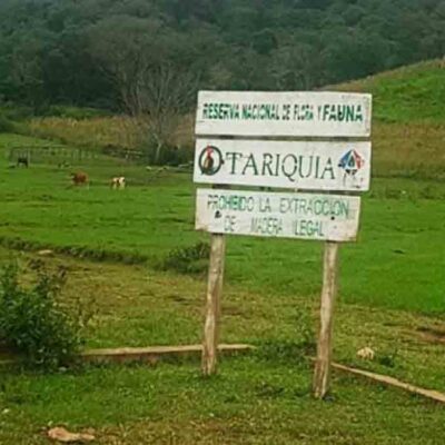 Tariquía