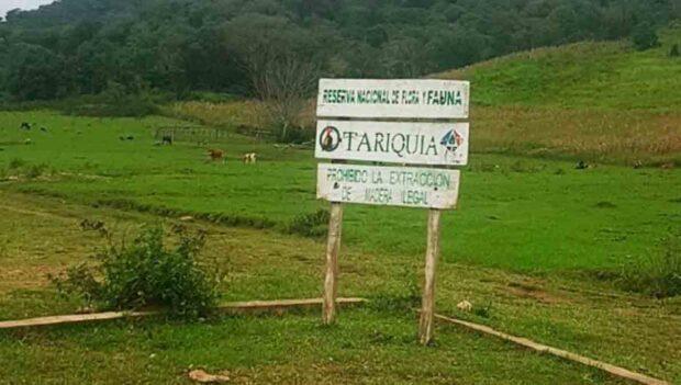 Tariquía