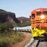 tren de carga