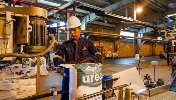 producción de urea en la planta de YPFB