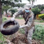 criaderos de mosquito en viviendas
