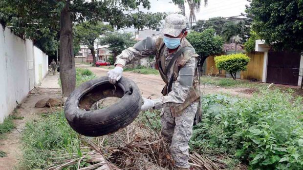 criaderos de mosquito en viviendas
