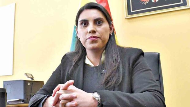 viceministra Andrea Barrientos