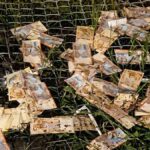los billetes que transportada el avión que se siniestró