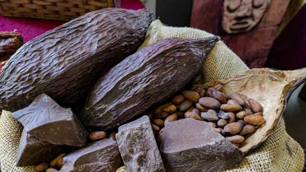 Cacao of Excellence Awards y se posiciona entre los 50 mejores del mundo.