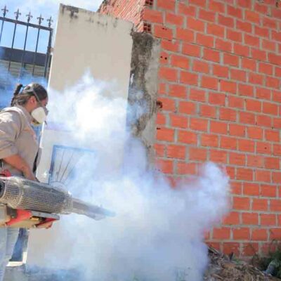 chikungunya en Santa Cruz