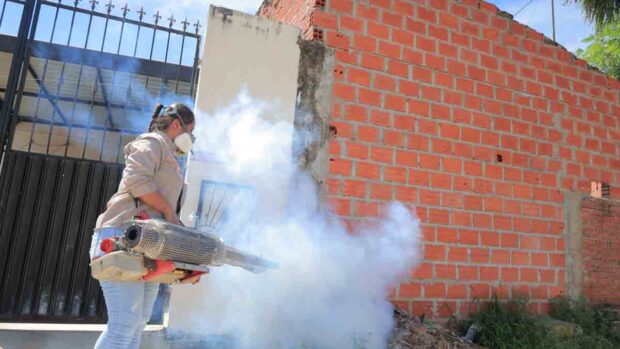 chikungunya en Santa Cruz