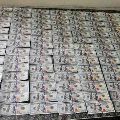 Felcc incauta 100.000 dólares