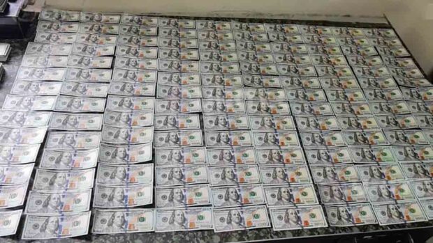 Felcc incauta 100.000 dólares
