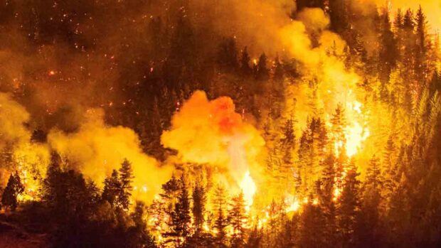 incendio en la Patagonia