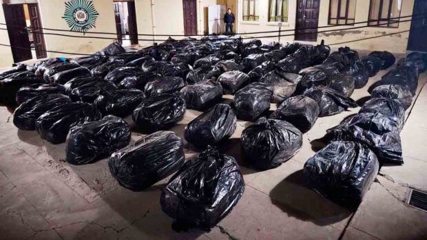 las bolsa con marihuana en la Felcc de Oruro