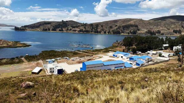 planta piscícola en el lago Titicaca