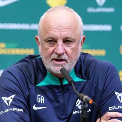 Graham Arnold, DT de Iark
