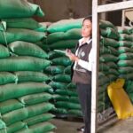 el arroz decomisado en Montero
