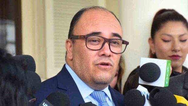El presidente del TSE, Gustavo Ávila
