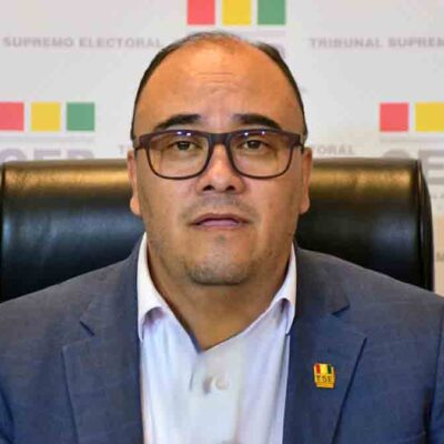 Gustavo Ávila, presidente del TSE