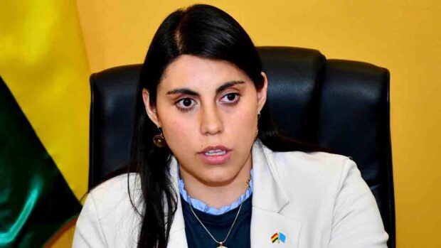 viceministra Andrea Barrientos