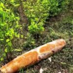bomba en frontera Colombia Ecuador