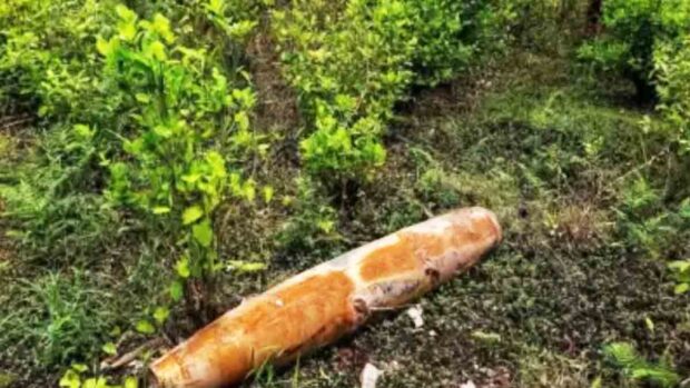 bomba en frontera Colombia Ecuador