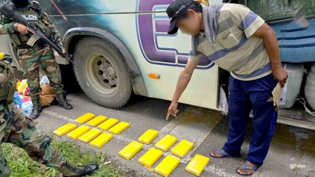 Hallan cocaína en encomienda