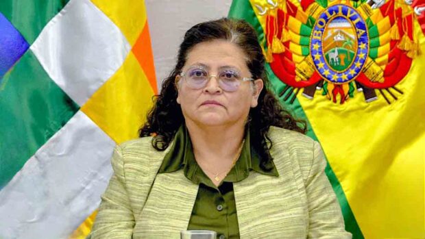 ministra de Salud, Marcela Flores