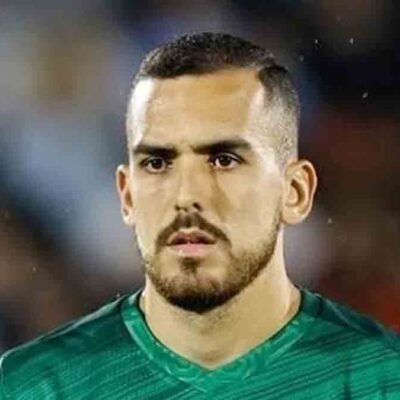 Haquin se une a la Verde