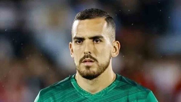 Haquin se une a la Verde