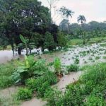 inundaciones en el trópico de Cochabamba